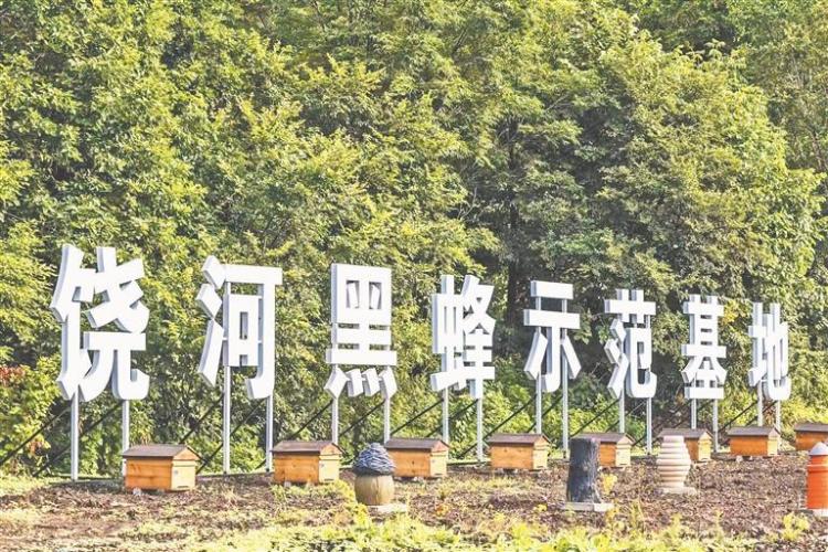 地理标志创新发展 为乡村振兴助力赋能
