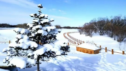 黑龙江：深挖冰雪资源 催热冬日经济_fororder_3