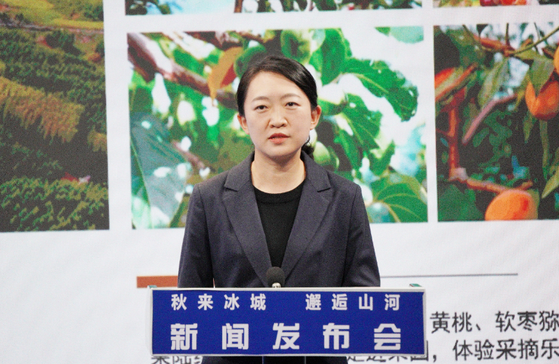 国庆假期哈尔滨多地盛装迎客等你来
