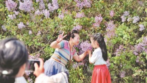 陪妈妈去赏花