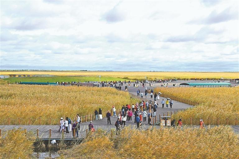 齐齐哈尔：创新消费场景 激发市场活力