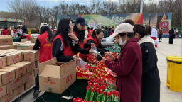 黑龙江省首届太阳岛春酱文化节启幕