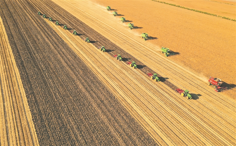 黑龙江粮食总产量登上1600亿斤台阶_fororder_a3b4f46e-d403-4239-83b4-ae2f0ab46387