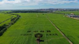 “方正大米”“五常大米”入选国家地理标志保护示范区_fororder_9