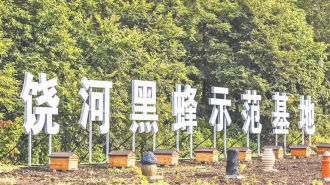 地理标志创新发展 为乡村振兴助力赋能