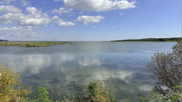 描绘“绿色龙江”新画卷_fororder_1