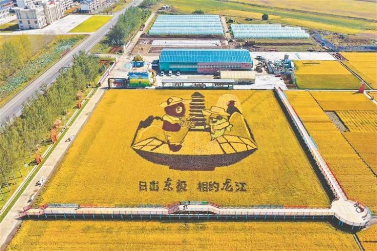 抚远：守绿水青山底色 筑粮食满仓盛景