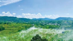 “一根丝”拉长富民产业链