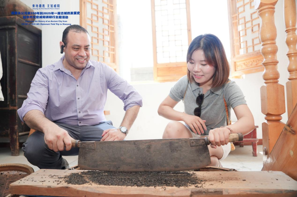 “丝路黑金”的千年回响：从茯茶古道到新质贸易的共荣之路_fororder_2