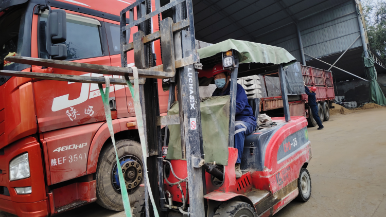 真帮实扶 情系民生 —— 国网陕西电力助力澄城县高质量发展纪实_fororder_图片5