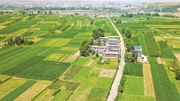 塞上沃野绘新卷 农业强市启新程——榆林以农业现代化谱写乡村振兴新篇章