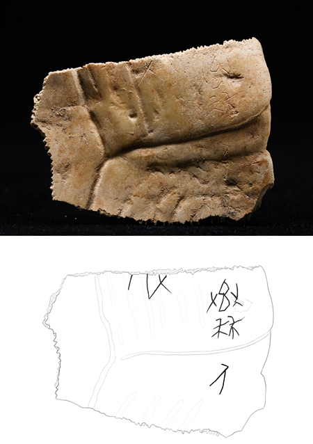 陕西重大考古发现！首次出土有“秦人”字样甲骨