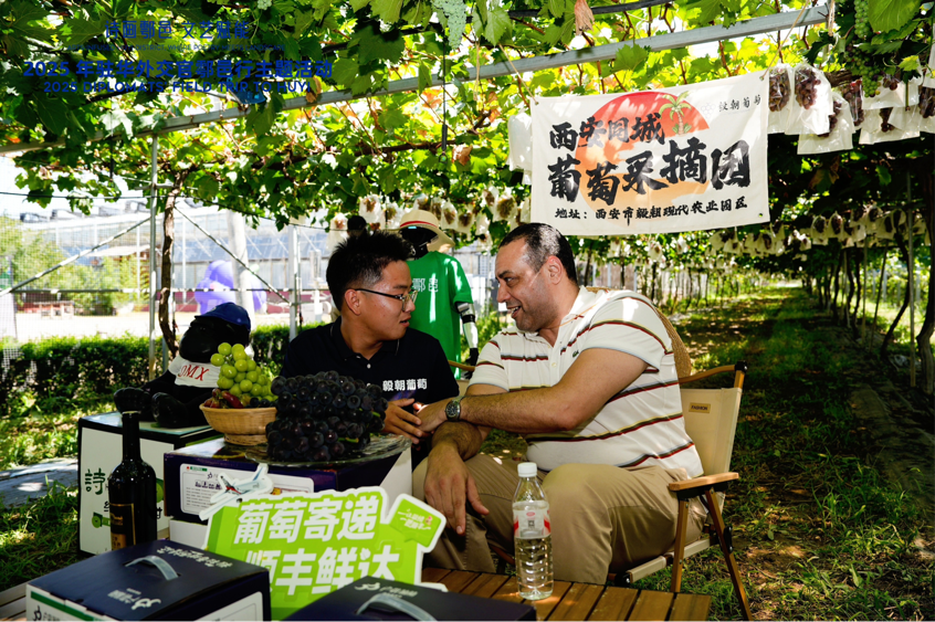 智慧“种”进葡萄园 驻华外交官品读乡村振兴“中国甜”_fororder_图片5
