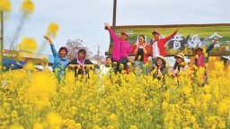 从“点上开花”到“全域共美” ——渭南市临渭区以协同发展推进乡村振兴观察