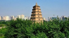 打卡古都西安的文化地标——大雁塔