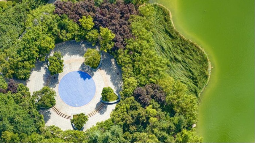 中湖公园 绿意盎然