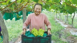 图片默认标题