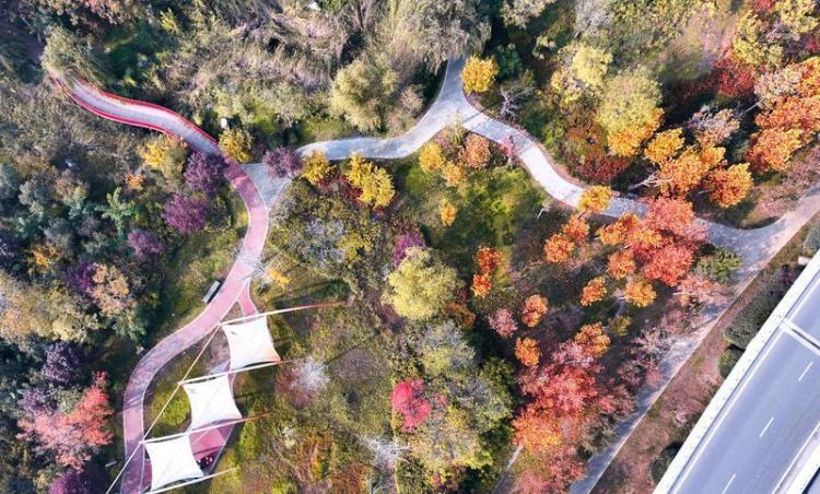 秦汉新城渭河北岸冬日盛景