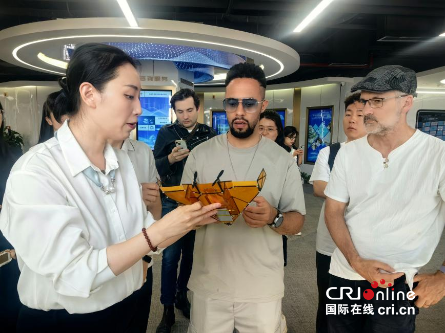 【在西安 看中国 外籍专家西安调研行㊿】十国外籍专家聚焦长安先导产业创新中心 用技术跨度丈量西安创新深度_fororder_图片2_副本
