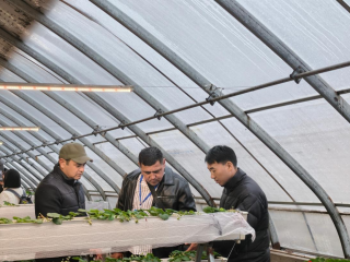 Из Центральной Азии в провинцию Шэньси: 300 профессиональных фермеров «обучились» земледелию в Вэйнане_fororder_b7aa4eab-caf7-4fd3-b526-66805b56223b.1259x948