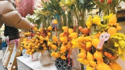 古城西安年味浓　烟火气里迎新春