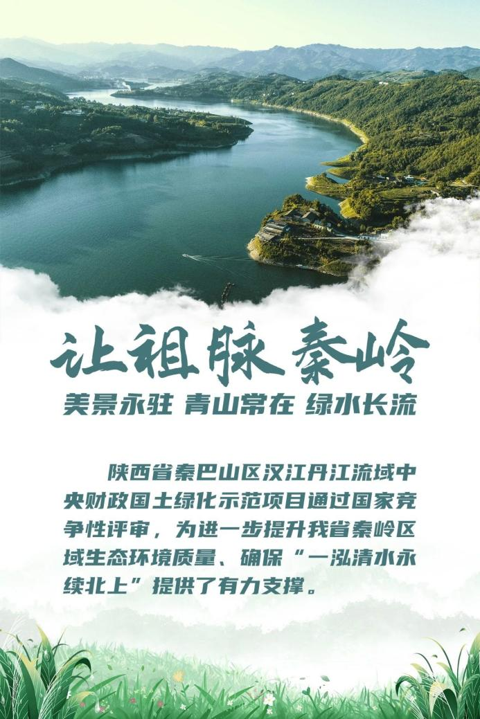 陕西：当好秦岭生态卫士 绘就“绿水青山”新画卷_fororder_图片2