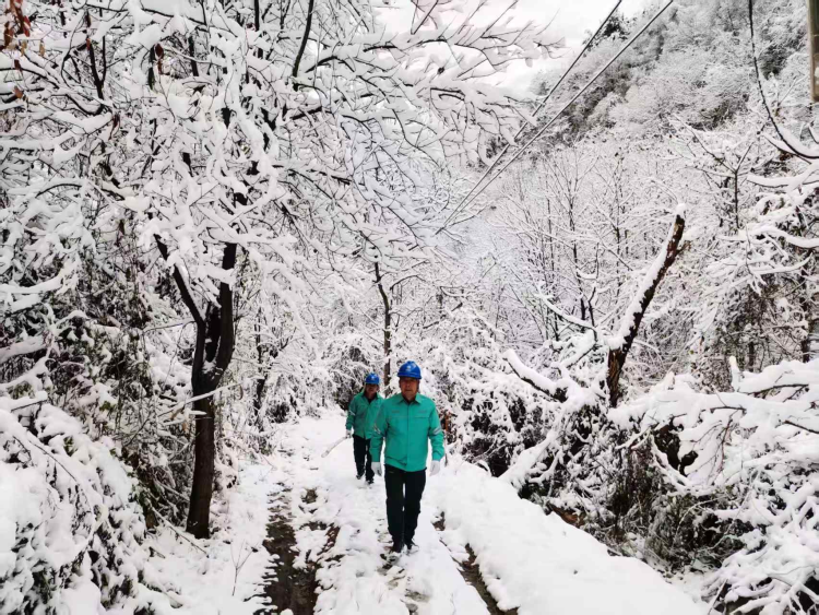 国网西安市长安区供电公司：风雪为令 为秦岭电网“舒筋通络”_fororder_图片4