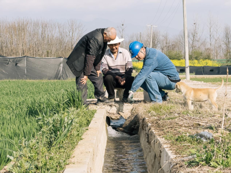 陕西汉中：电润春耕 服务“三农”_fororder_图片1