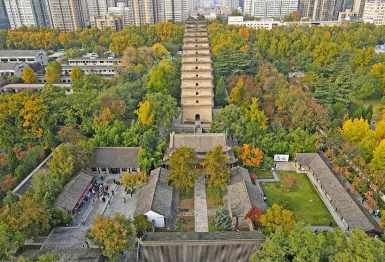 秋日小雁塔风景美