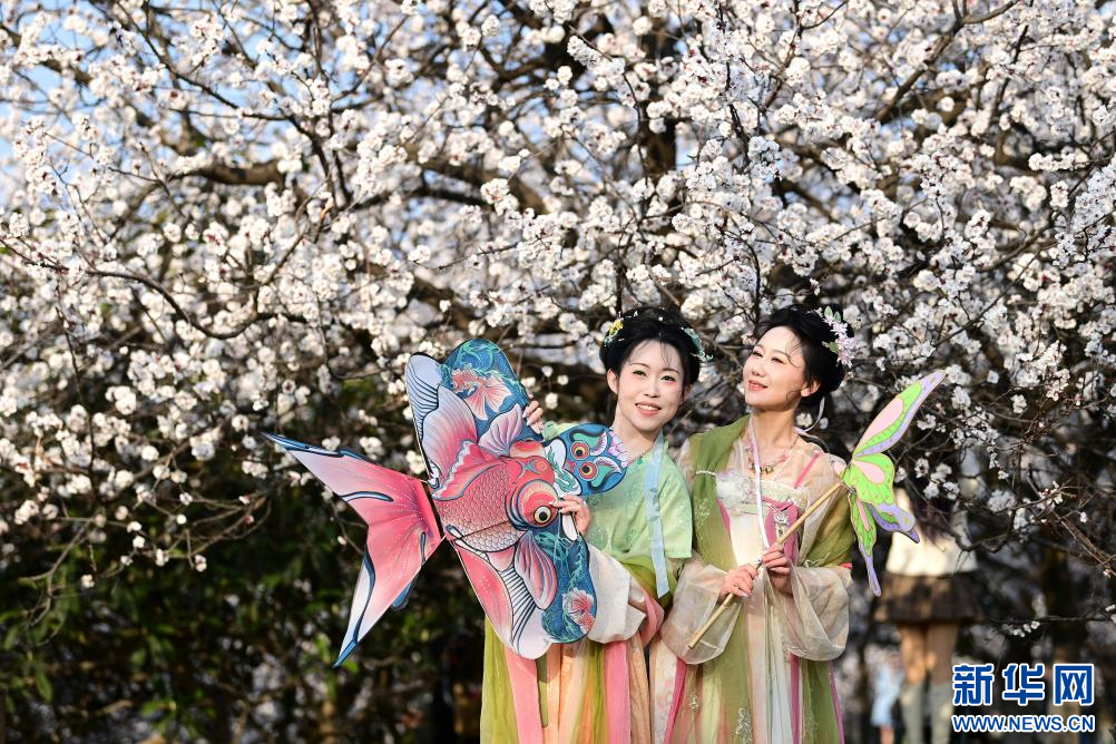 长安春日繁花开_fororder_微信图片_20260310091555_1354_356