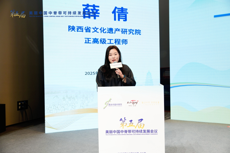 探寻守护文明脉络 专家学者探讨“遗产保护与可持续发展理论技术”_fororder_图片2