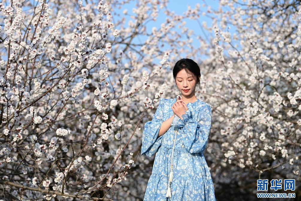 长安春日繁花开_fororder_微信图片_20260310091620_1356_356