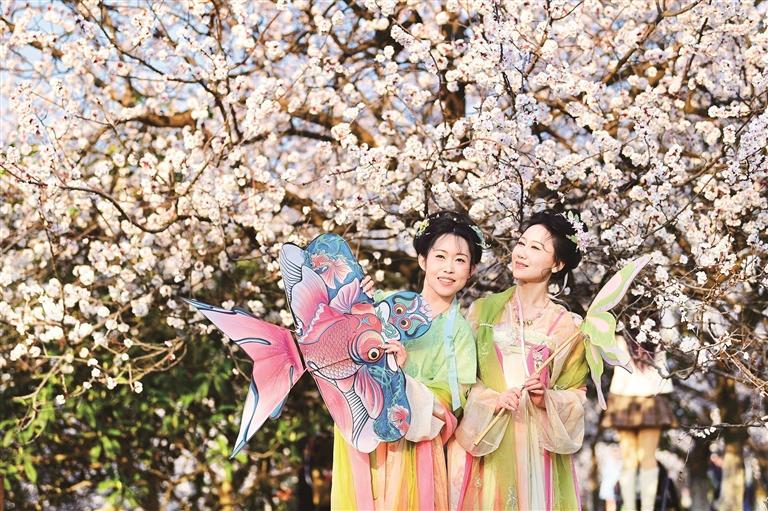 乘着公交 去邂逅最美春天_fororder_微信图片_20260325092440_1501_356