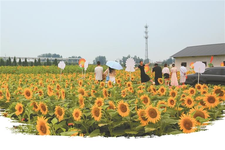 “赏花经济”激发农文旅消费新活力_fororder_微信图片_20260615083117_2041_356