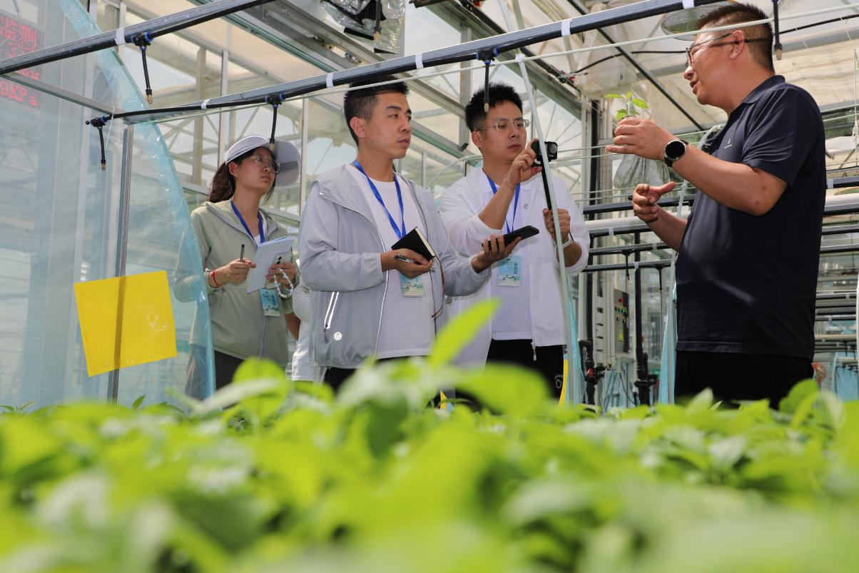 走出杨凌看示范∣静宁苹果“芯”潮涌动_fororder_图片2