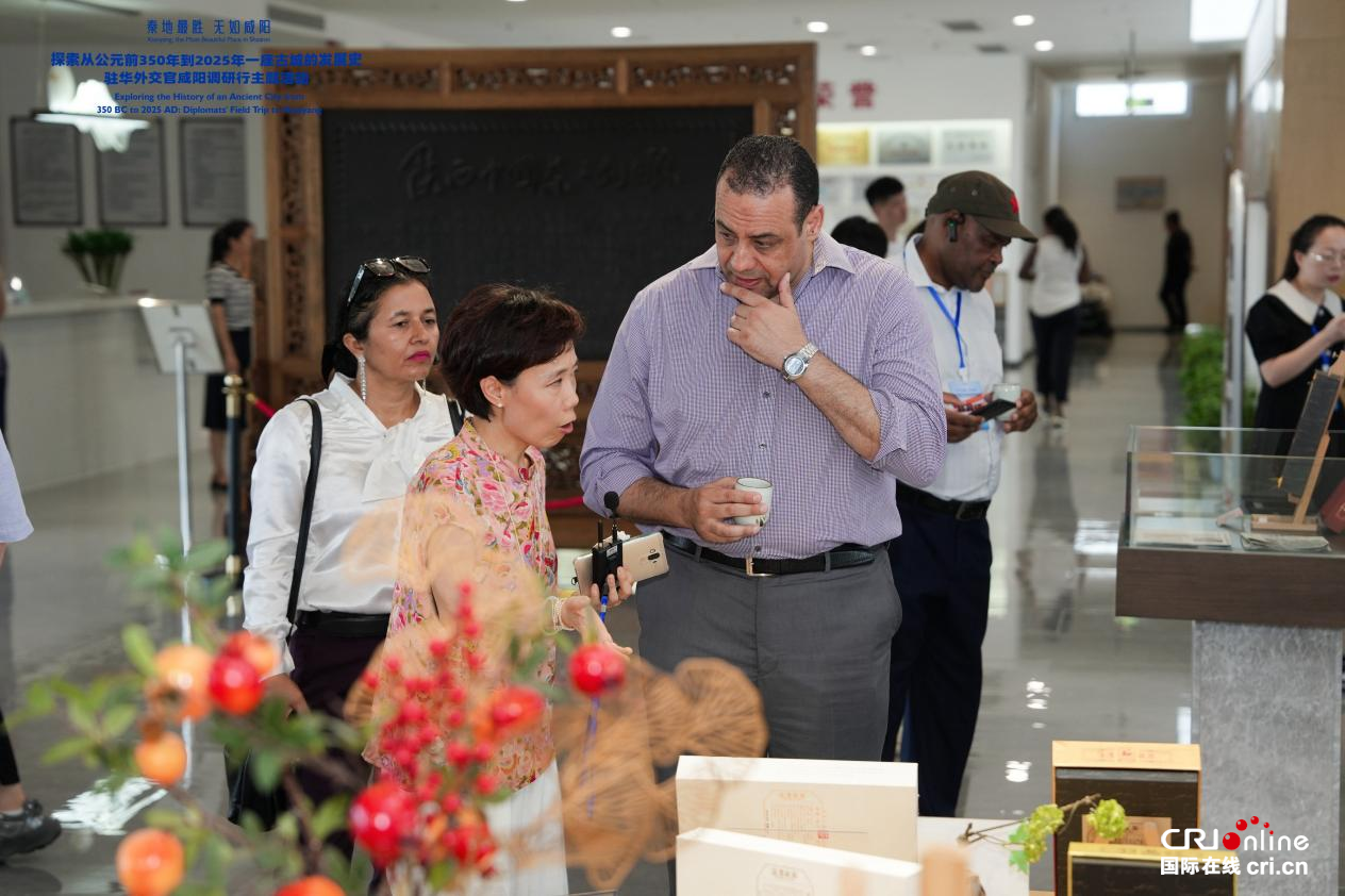 【秦地最胜 无如咸阳】20国驻华外交官咸阳行：零距离感知历史瑰宝与科创活力_fororder_图片5