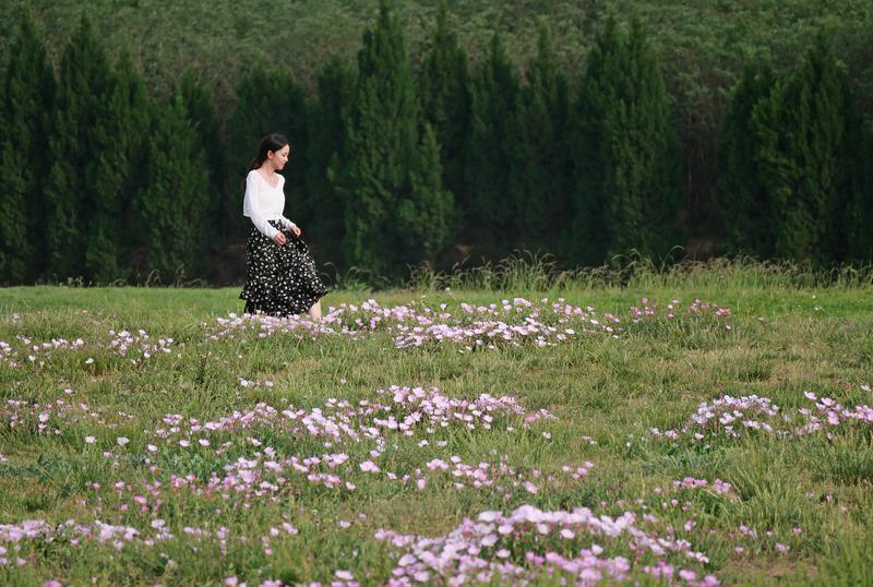 遗址公园 夏花灿烂
