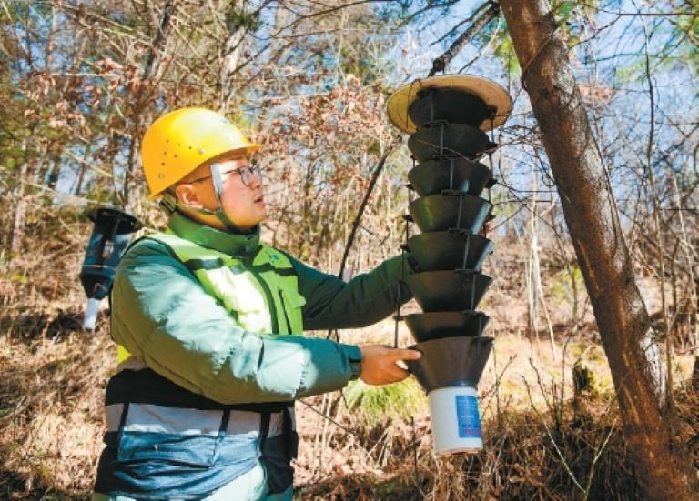 “看病建档”让秦岭山林重焕活力_fororder_微信图片_20260127092504_1077_356