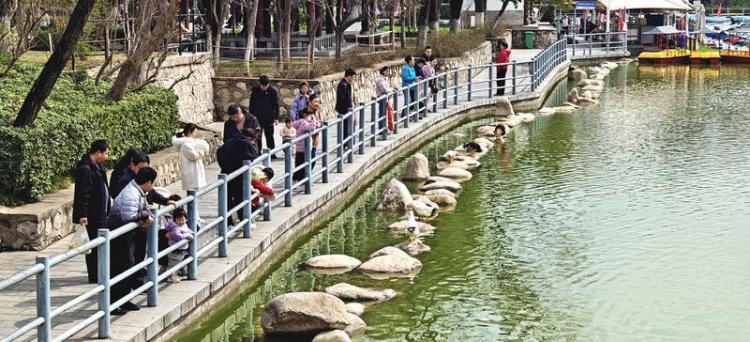 莲湖公园 春意盎然_fororder_微信图片_20260317092630_1419_356