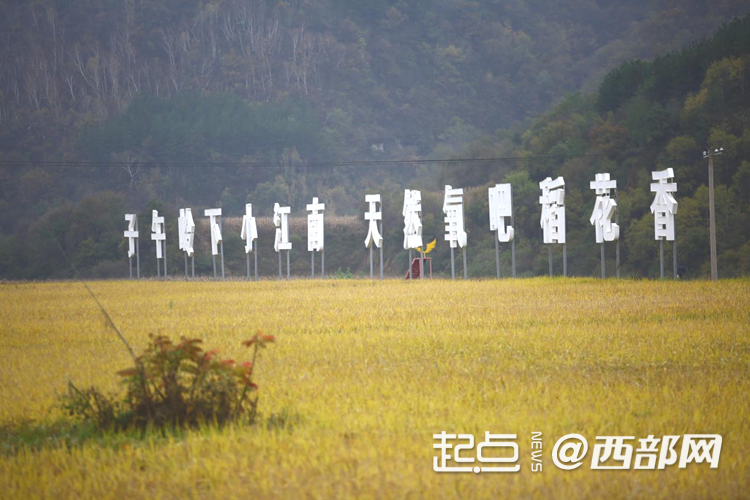 追寻红色足迹 五里桥田园综合体绘就乡村振兴新图景