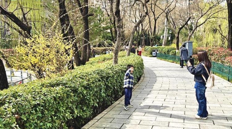 莲湖公园 春意盎然_fororder_微信图片_20260317092636_1420_356