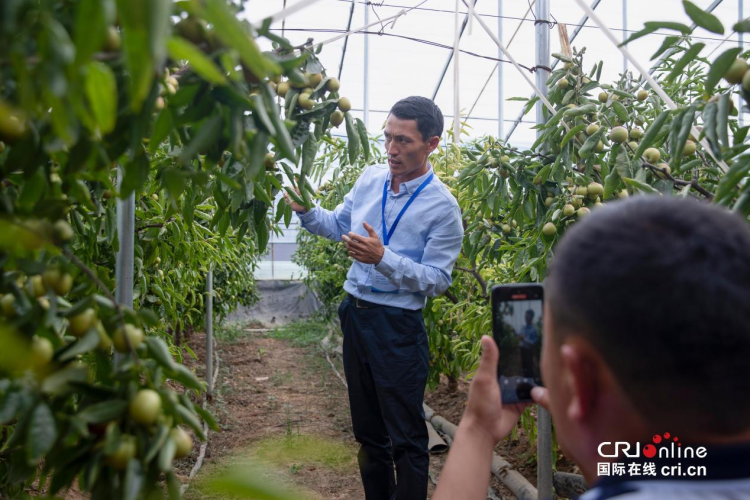 从中亚到陕西：300名职业农民“留学”渭南学种地_fororder_图片8