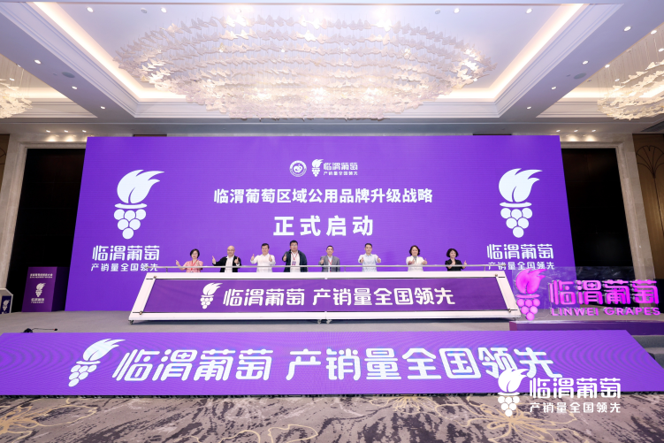 渭南市临渭区：一场葡萄盛会 焕发产业升级新活力_fororder_图片2