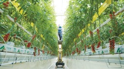 走进杨凌秦农智慧农业科技产业园——看一座“科技工厂”为丰收“编程”