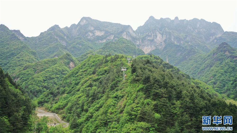 陕西天竺山景区：秦岭山间绿意浓