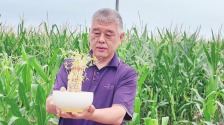 秦地七夕：非遗织就的千年浪漫长卷