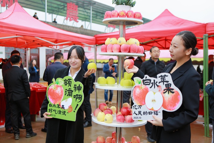 走读“四圣故里”白水:以脚步丈量文化脉络 以视野洞察产业新生_fororder_WechatIMG3040