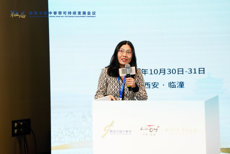 探寻守护文明脉络 专家学者探讨“遗产保护与可持续发展理论技术”_fororder_图片3