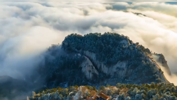 【Poetic陕西】春染华山：云海翻涌映群峰 古庙花开满园春