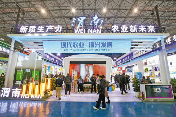 向世界递出渭南农业“金名片” ——渭南市农产品杨凌农高会参展侧记